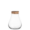 Terrarium in Vetro con Tappo in Sughero | Decorazione Naturale